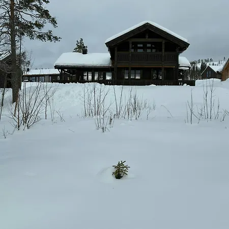 Cozy With Sauna In Flå